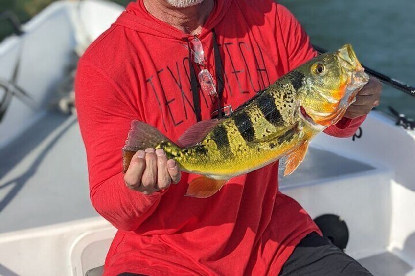 Private Fishing Activity on Gatun Lake in Panama