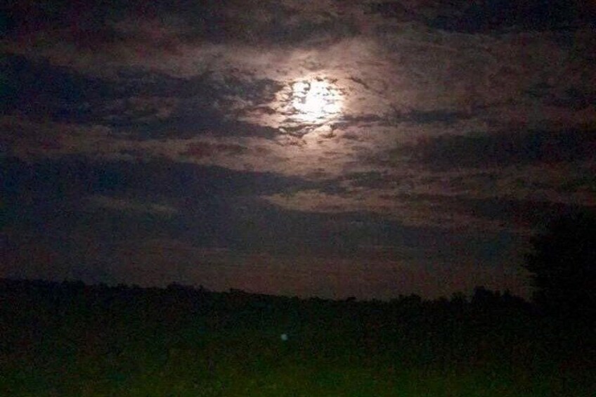 An orb lit up by moonlight.