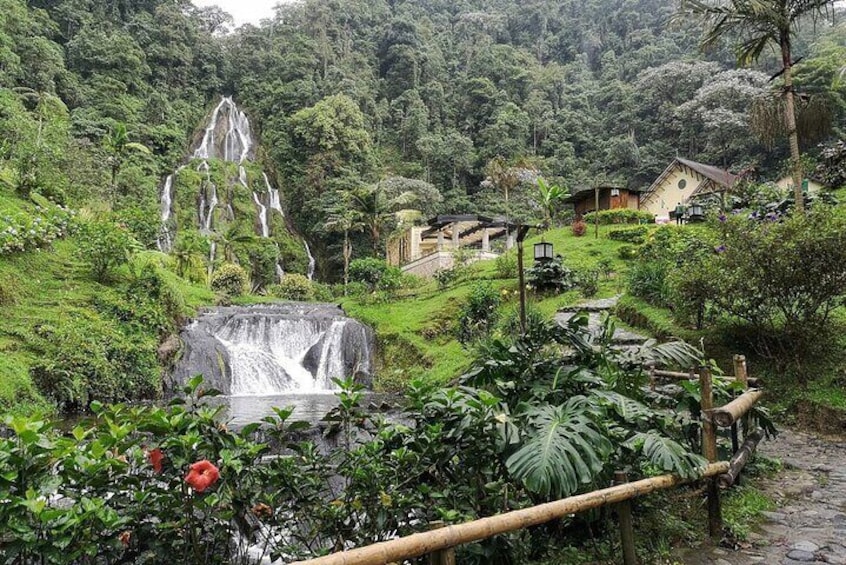 Full-Day Private Tour of Santa Rosa de Cabal and Hot Springs