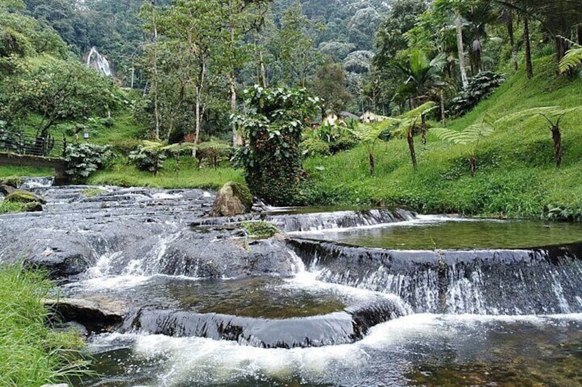 Full-Day Private Tour of Santa Rosa de Cabal and Hot Springs