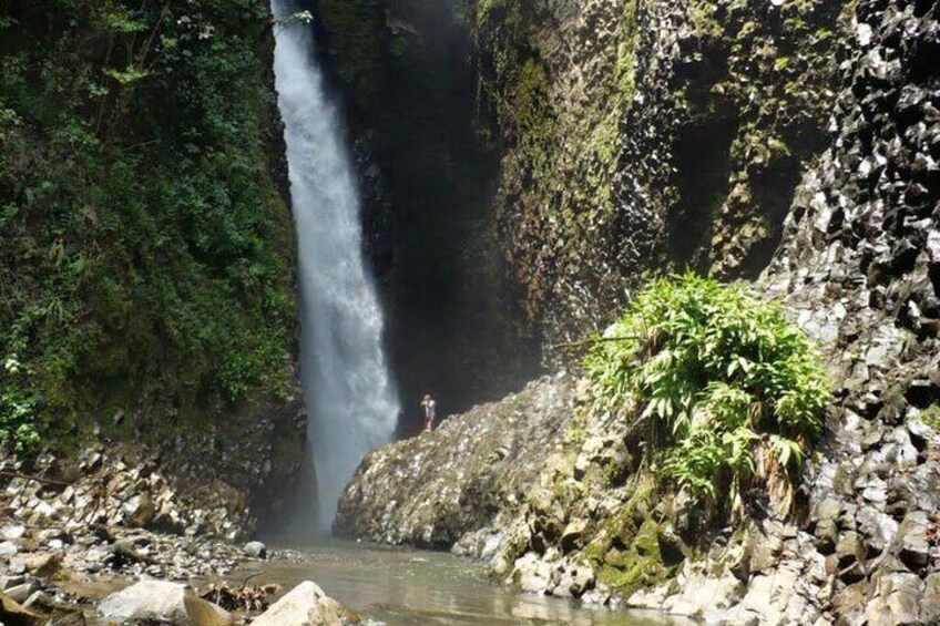 Full-Day Private Tour of Santa Rosa de Cabal and Hot Springs