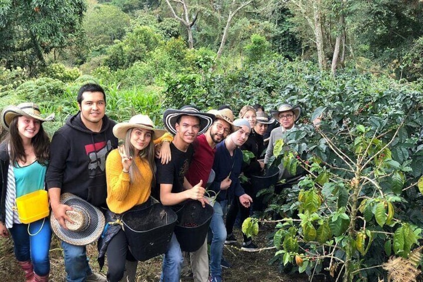 Cocora Valley, Salento and Coffee Farm Day Tour 