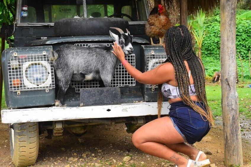 cultural safari