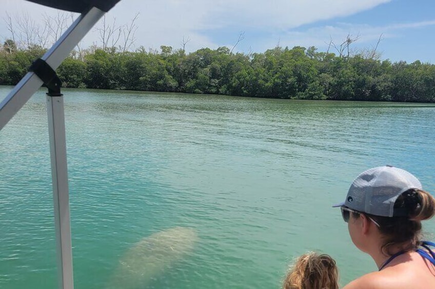 Private Siesta Funship Adventure/Dolphin Cruise Sandbar Stops