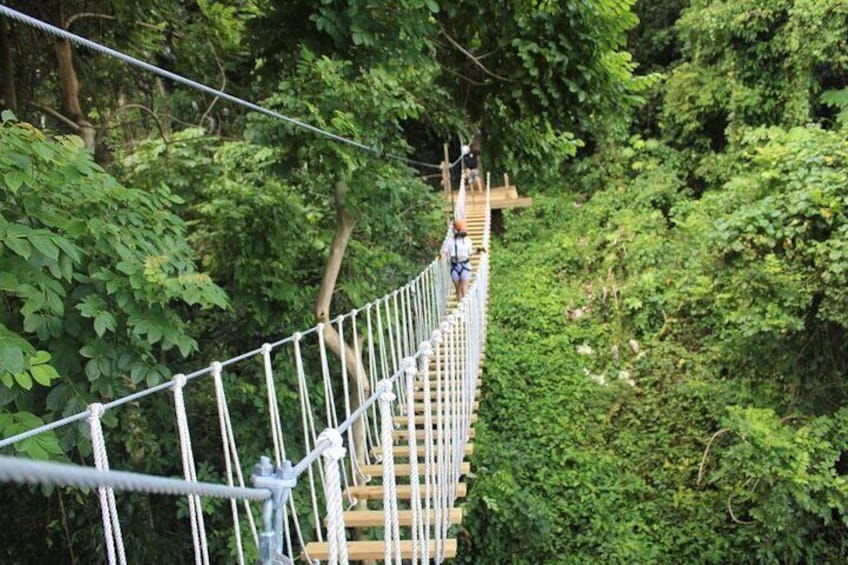 El Yunque Adventure Trail