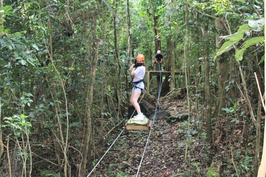 Surfing in the jungle Attraction