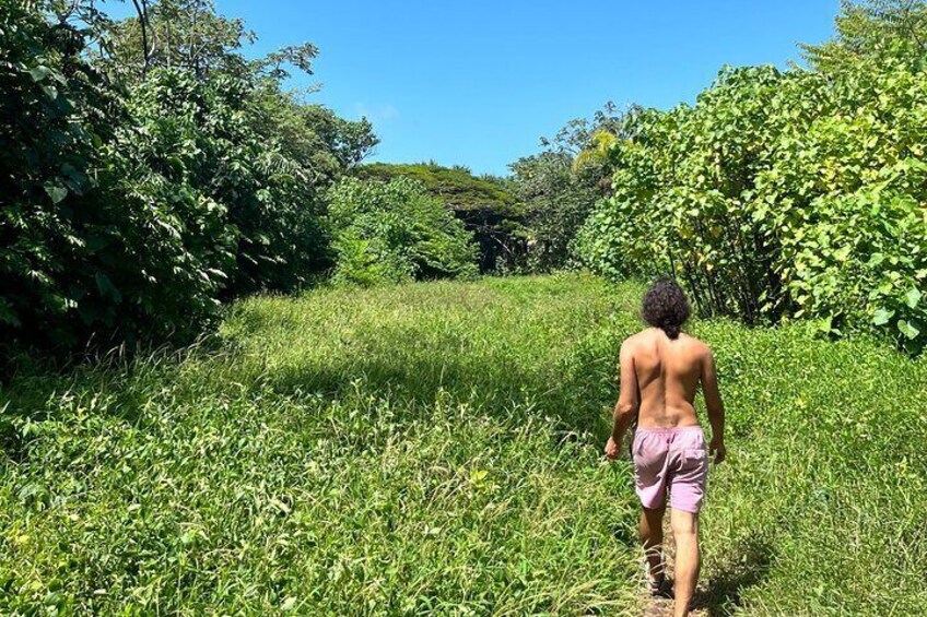 Short Private Hike To Secret Jungle Tide Pool