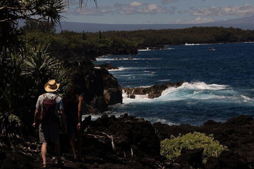 Secret Jungle Tide Pool Hike - Private