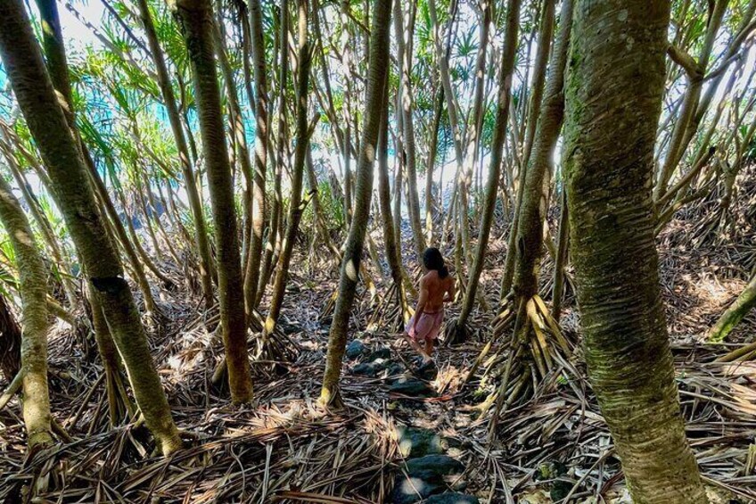 Short Private Hike To Secret Jungle Tide Pool