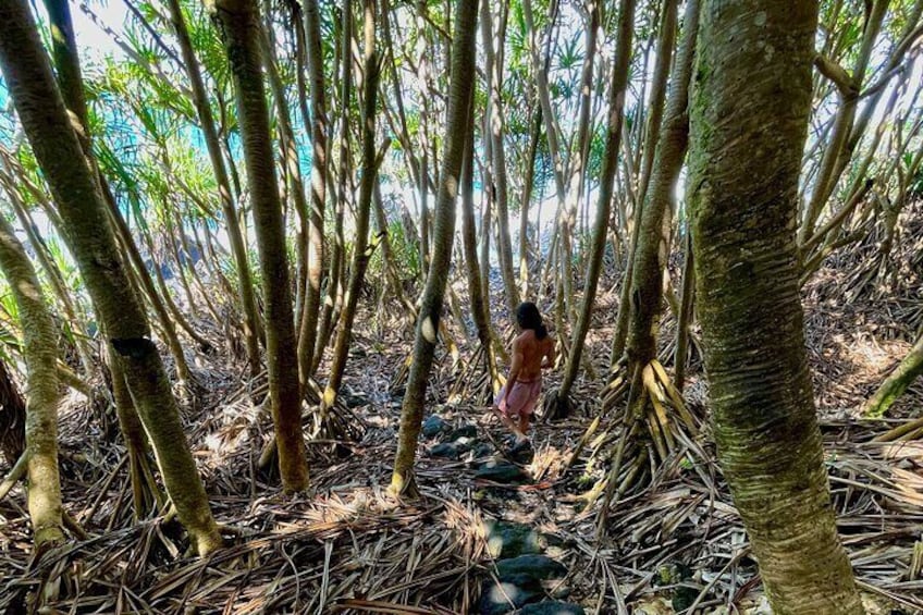 Short Private Hike To Secret Jungle Tide Pool