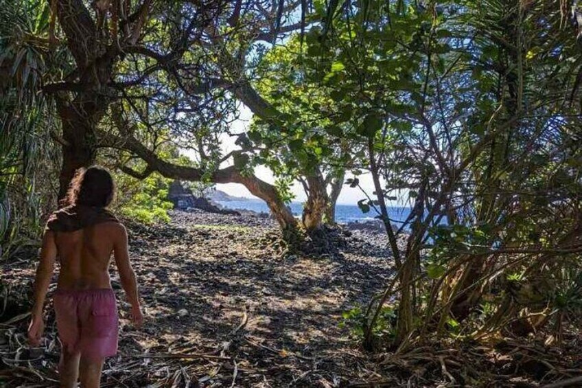 Private Hike To Secret Jungle Tide Pool