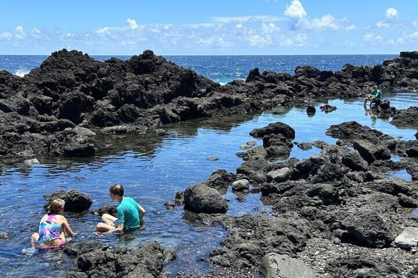 Short Private Hike To Secret Jungle Tide Pool