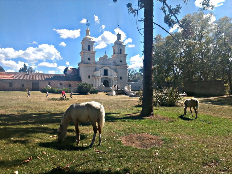 Full-Day Jesuit Legacy Tour