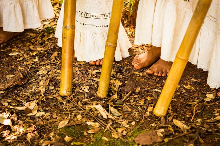 Aboriginal Yriapu Village Private Tour