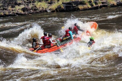 Whitewater Rafting Adventure on the Zambezi River, Victoria Falls Zimbabwe