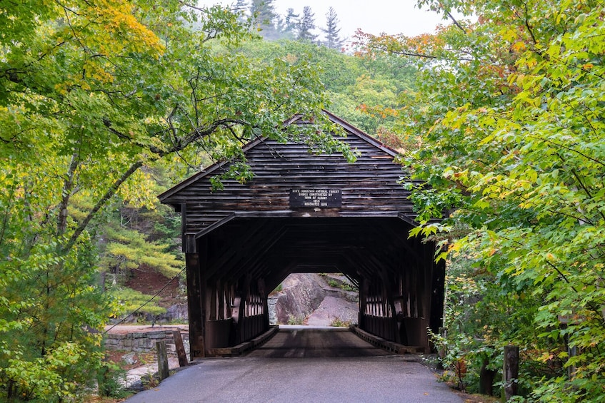 Massachusetts Self-Guided Driving and Walking Tours Bundle