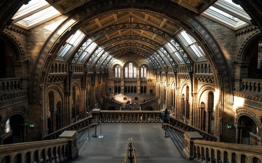Natural History Museum: Ticket & In-App Audio Tour