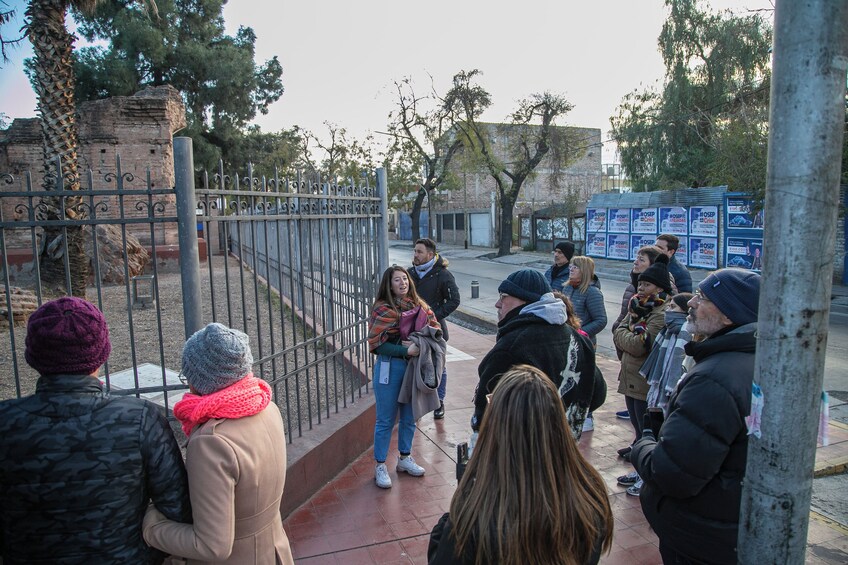 Half-Day Mendoza Sightseeing Tour