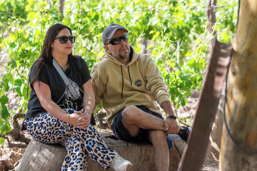 Half-Day Wineries Tour with Wine Tasting in Mendoza