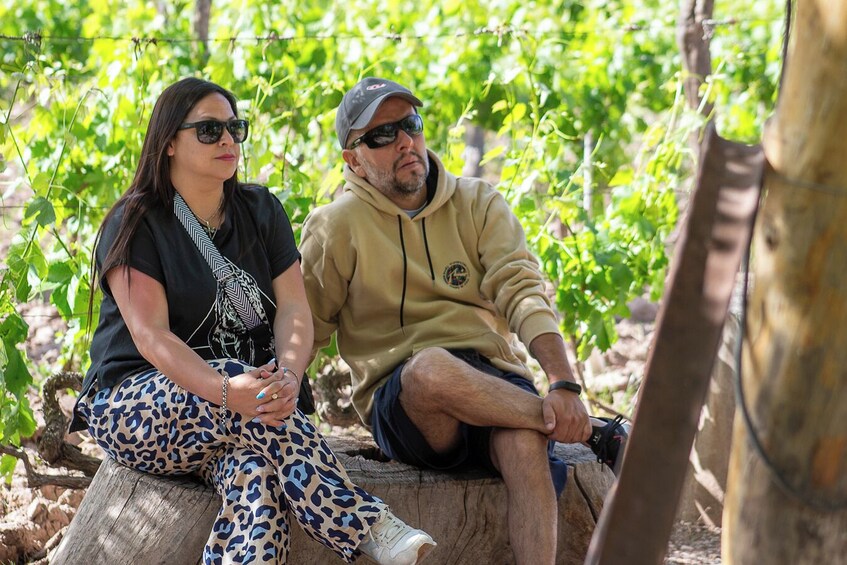 Half-Day Wineries Tour with Wine Tasting in Mendoza