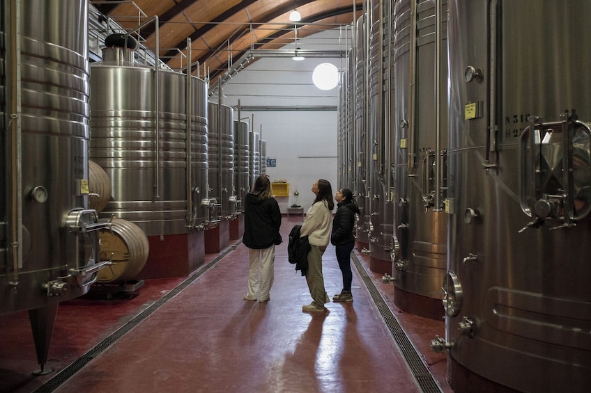 Half-Day Wineries Tour with Wine Tasting in Mendoza