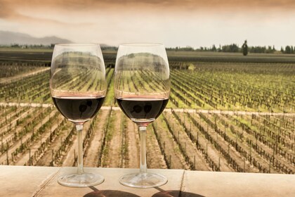 Halvdags Wineries Tour med vinsmaking i Mendoza