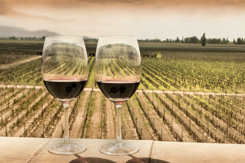 Two glasses of red wine overlooking a vineyard