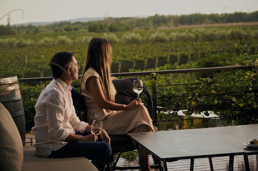 Half-Day Wineries Tour with Wine Tasting in Mendoza