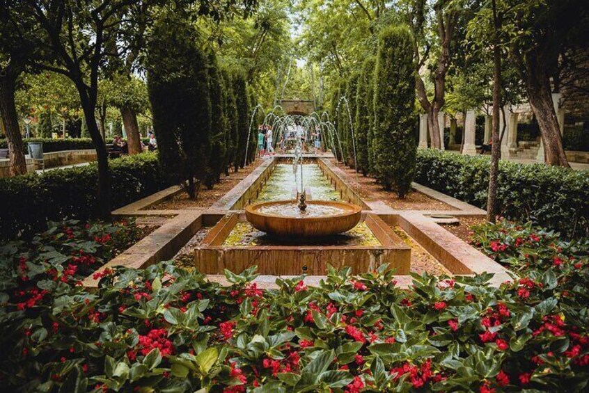 Guided Route in Palma with Entrance to the Cathedral