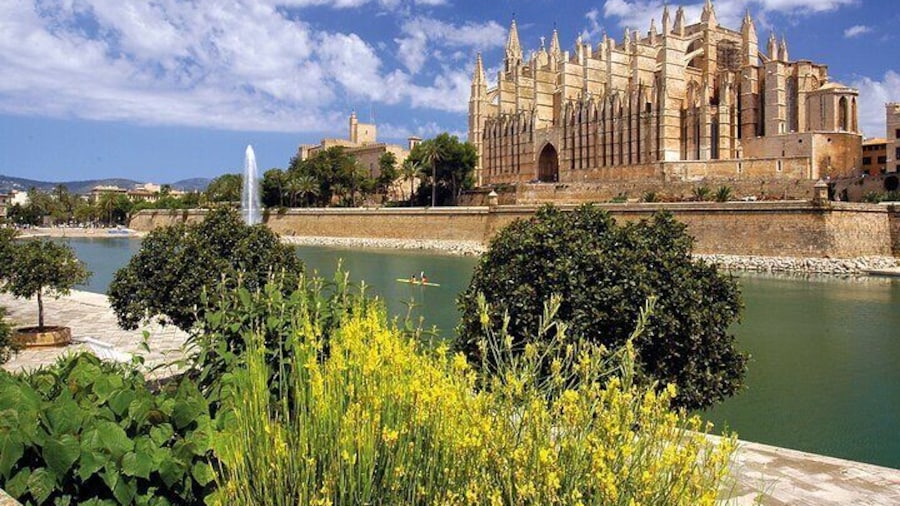 Guided Route in Palma with Entrance to the Cathedral