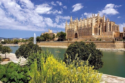Guidet rute i Palma med indgang til katedralen