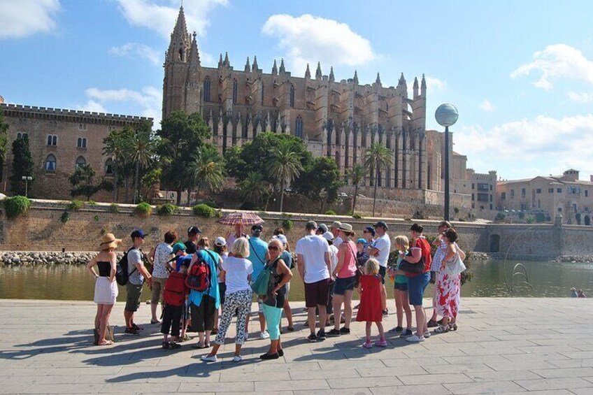 Guided Route in Palma with Entrance to the Cathedral