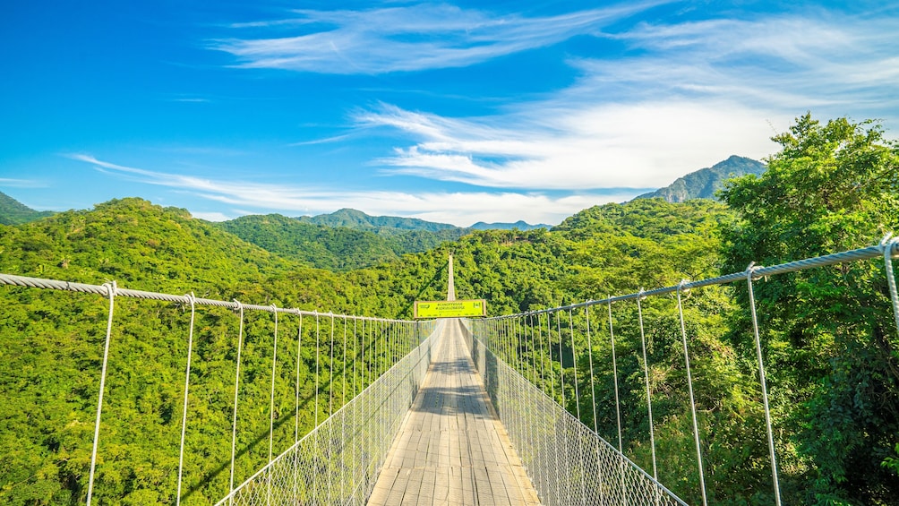 Jorullo bridge ATV Tour - Single or double