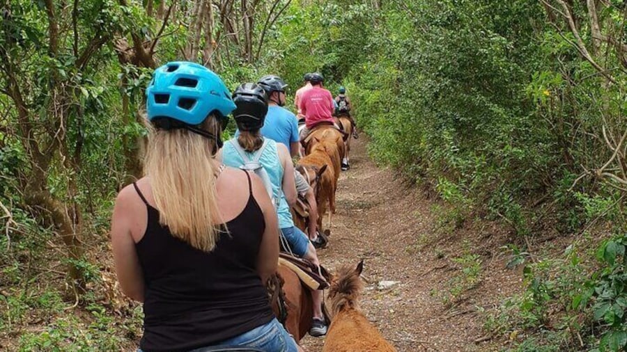 3 Hours Horseback Riding from Nature Trails to Sofa Stone