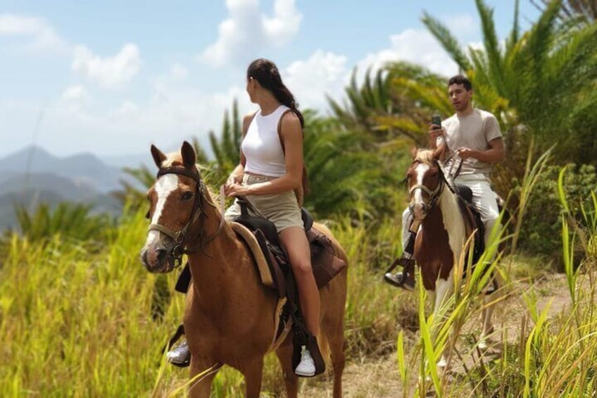 3 Hours Horseback Riding from Nature Trails to Sofa Stone