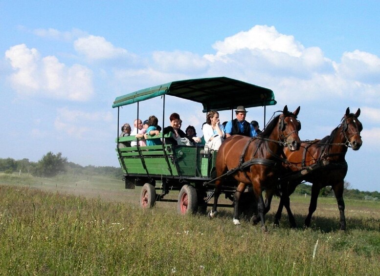 Picture 5 for Activity From Budapest: Puszta Horse Show and Countryside Visit