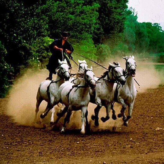 Picture 2 for Activity Day Trip from Budapest: Puszta Horse Show and Countryside