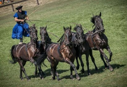 Fra Budapest: Puszta Horse Show og besøg på landet