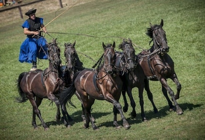 Dagsutflykt från Budapest: Puszta Horse Show och landsbygd