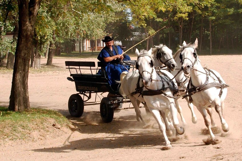 Picture 6 for Activity From Budapest: Puszta Horse Show and Countryside Visit