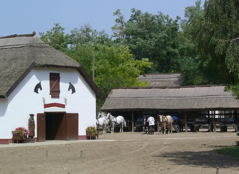 Picture 7 for Activity From Budapest: Puszta Horse Show and Countryside Visit