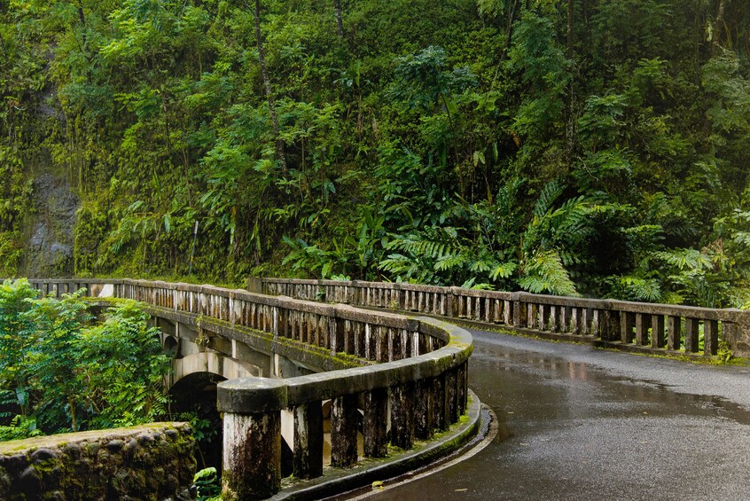 Day Tour to Heavenly Hana from Oahu