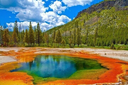2-Day Private Tour in Yellowstone(Lower and Upper Loops w Iconic Sites) w L...