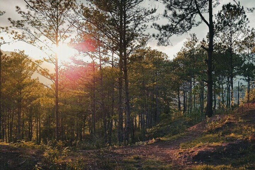 Sunrise in Sagada