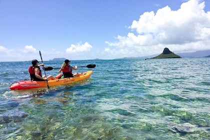 Mokolii Island Self Guided Kayak Tour