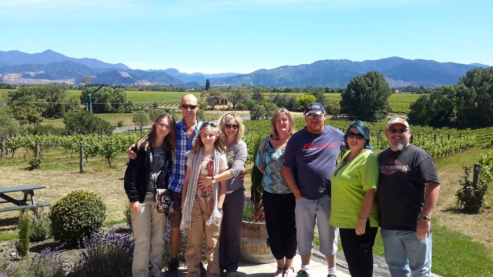 Picture 2 for Activity Marlborough Half-Day Wine Tour from Blenheim