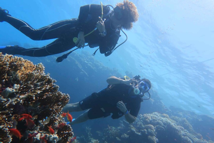 Picture 1 for Activity Catania: Mount Etna & Cyclopean Scuba Diving Experience