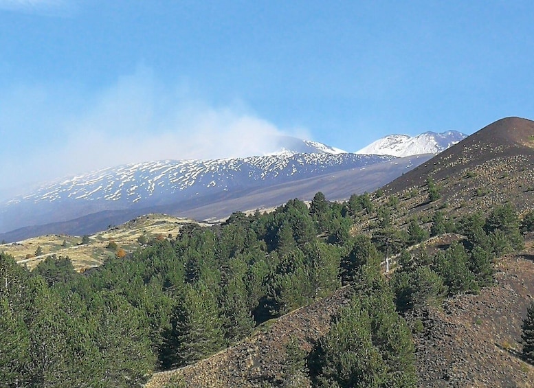 Picture 3 for Activity From Catania: Etna & Taormina Day Trip