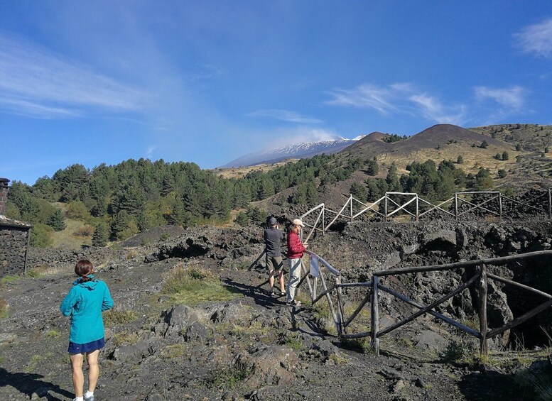 Picture 2 for Activity From Catania: Etna & Taormina Day Trip