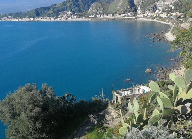 Picture 5 for Activity From Catania: Etna & Taormina Day Trip